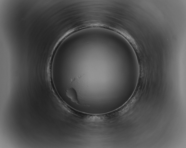 X0000093400806200710121058
