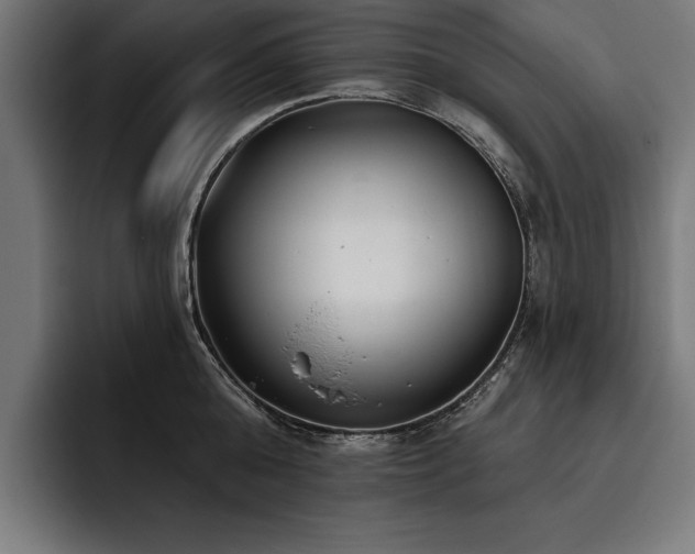 X0000093400808200710121058