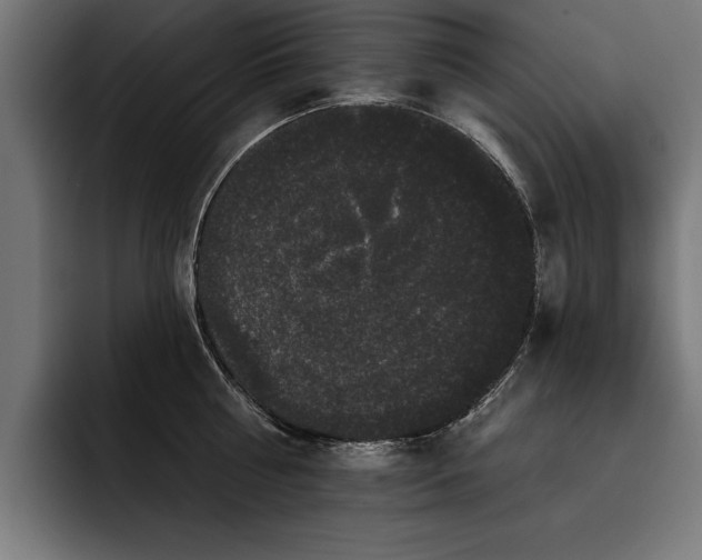 X0000093400810200710121058
