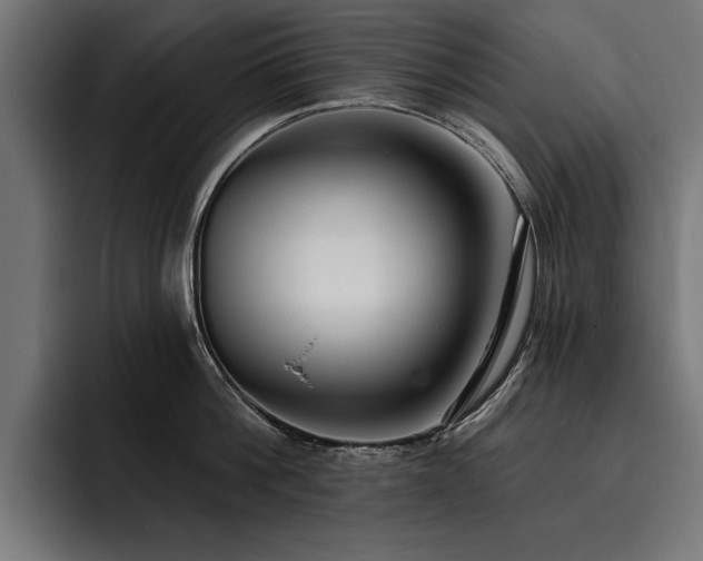 X0000093400812200710121057