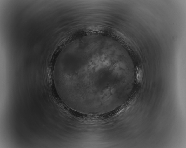 X0000093400819200710121057