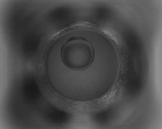 X0000093400822200710121057