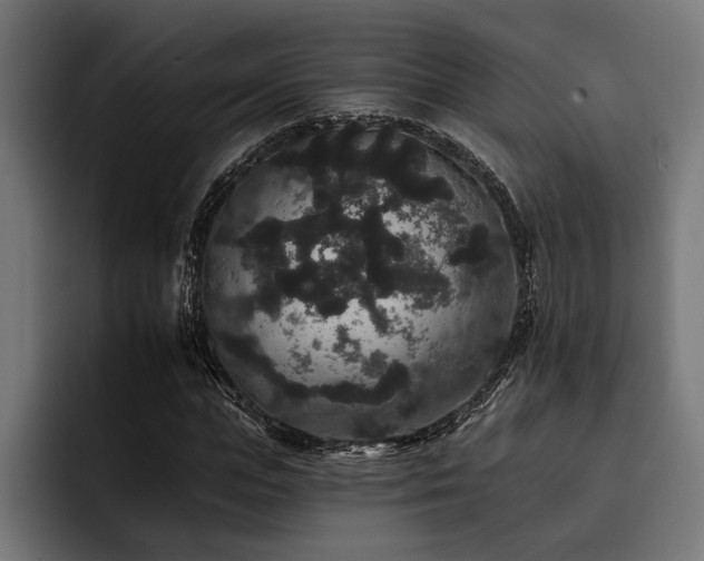 X0000093400823200710121057