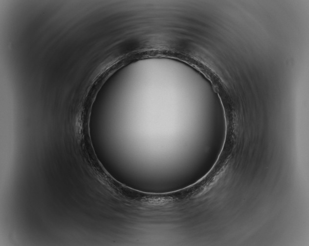 X0000093400826200710121057