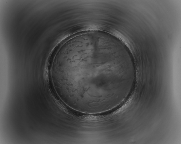 X0000093400827200710121057