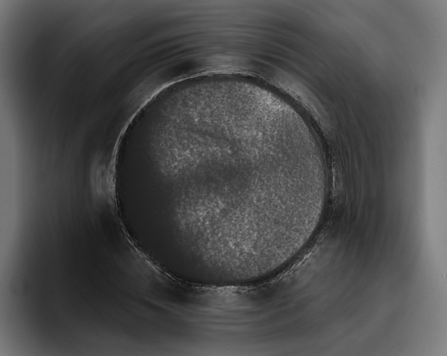 X0000093400828200710121057