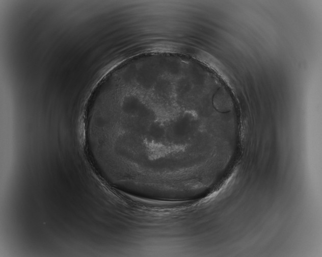 X0000093400829200710121057