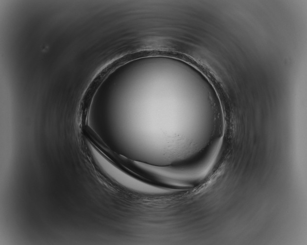 X0000093400830200710121057