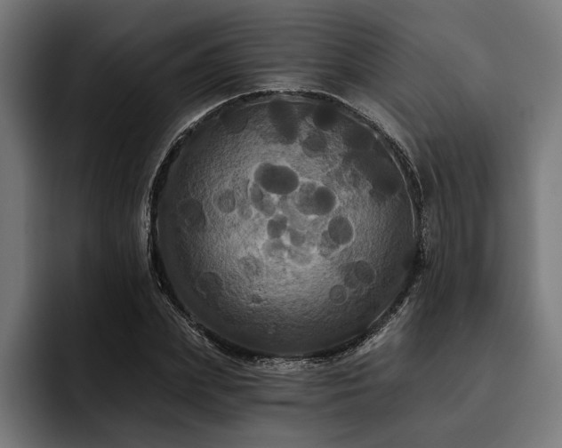 X0000093400831200710121057