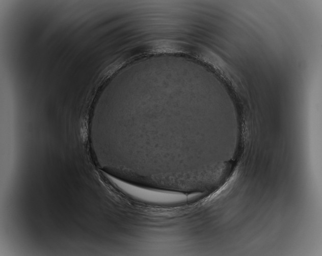 X0000093400833200710121057
