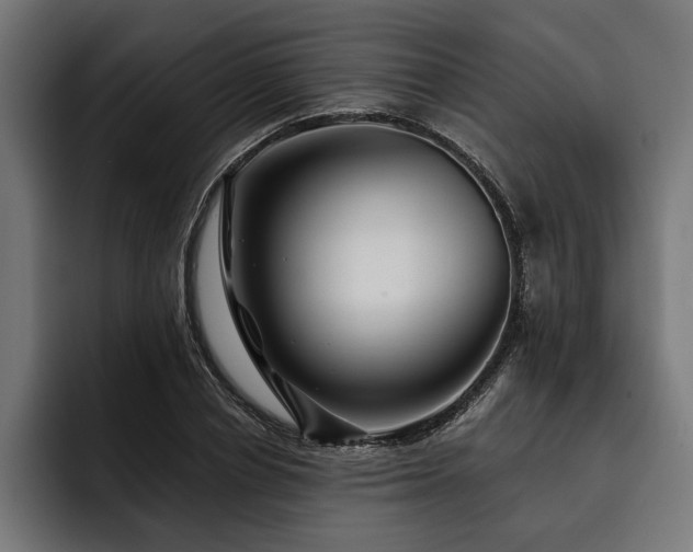 X0000093400834200710121057