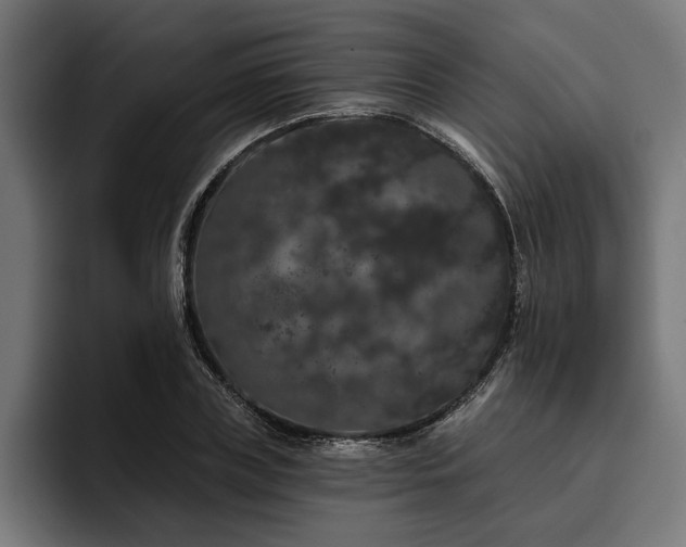 X0000093400835200710121057