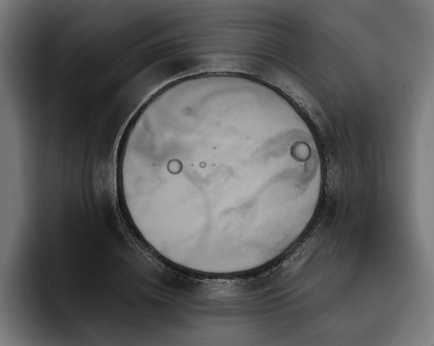 X0000093400836200710121057