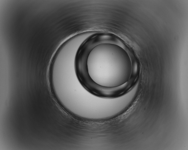 X0000093400838200710121057