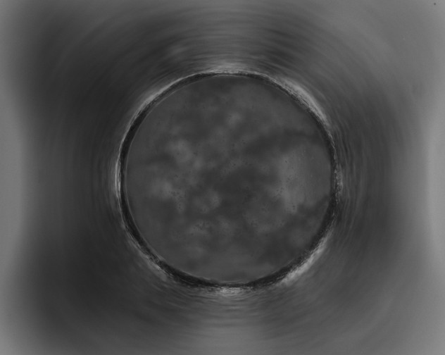 X0000093400839200710121057