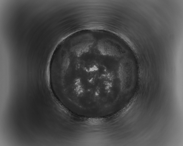 X0000093400840200710121057
