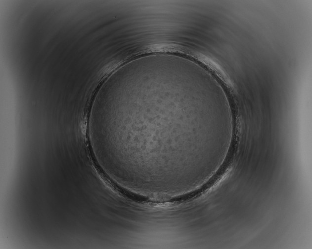 X0000093400841200710121057
