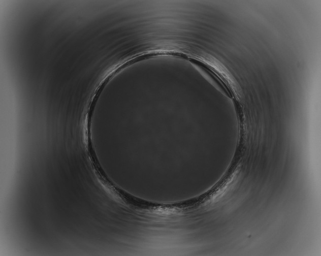 X0000093400842200710121057