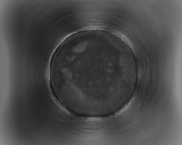 X0000093400844200710121057