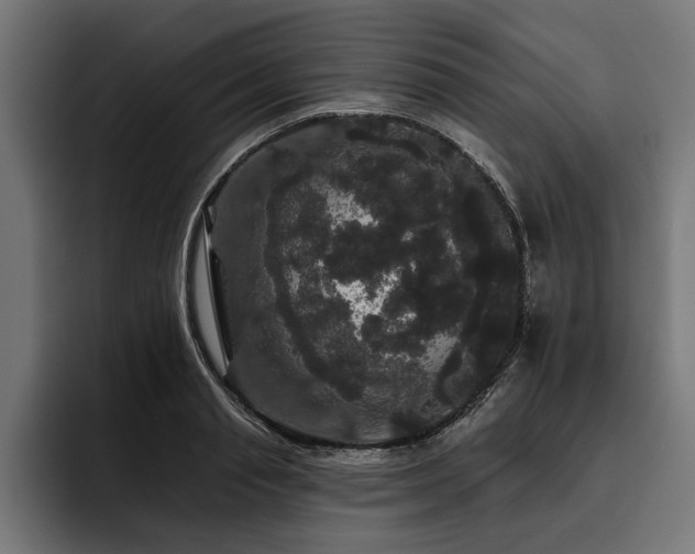 X0000093400845200710121057