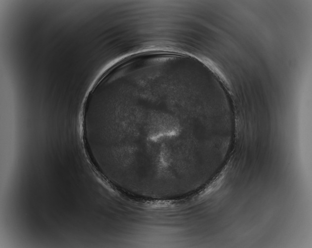 X0000093400846200710121057