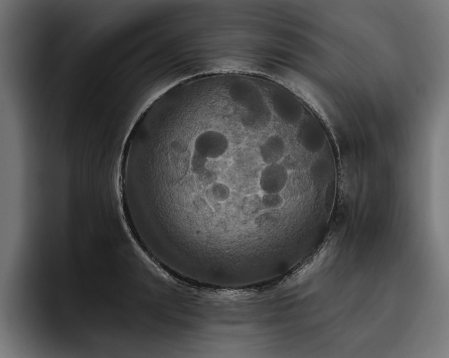 X0000093400847200710121057
