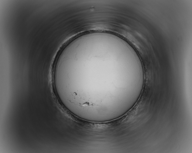 X0000093400848200710121057