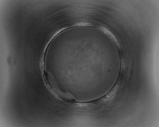 X0000093400852200710121057
