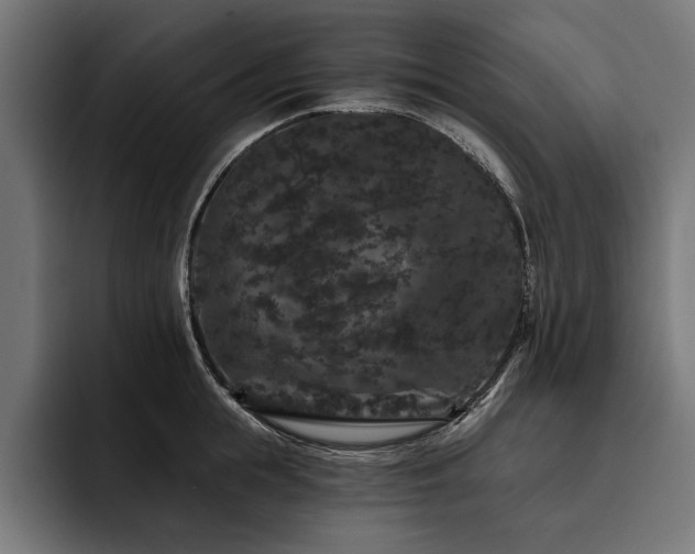 X0000093400855200710121057