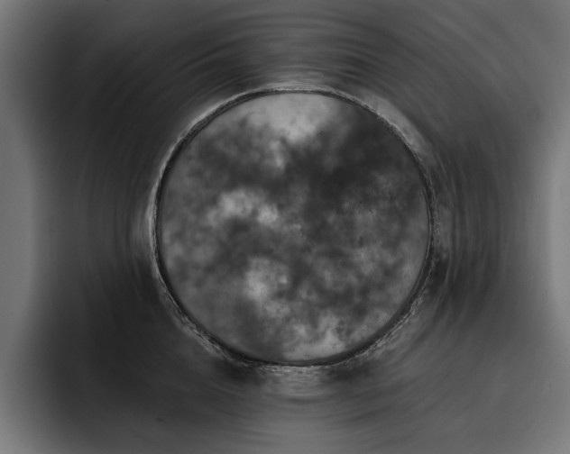 X0000093400856200710121057