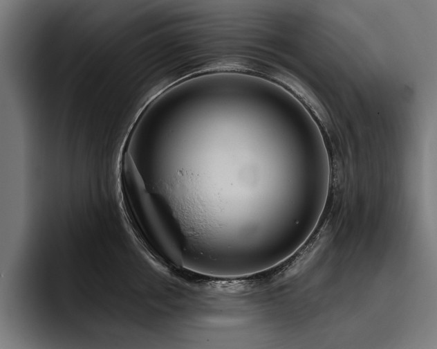 X0000093400858200710121057