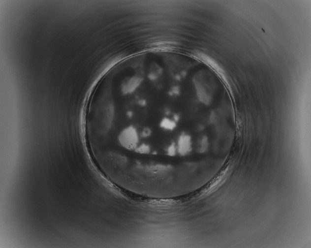 X0000093400859200710121057