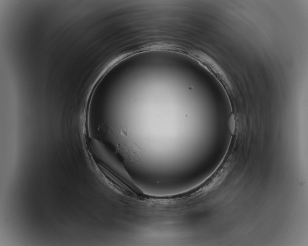 X0000093400860200710121057