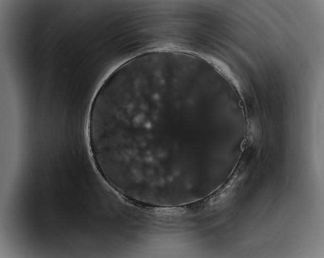 X0000093400863200710121057