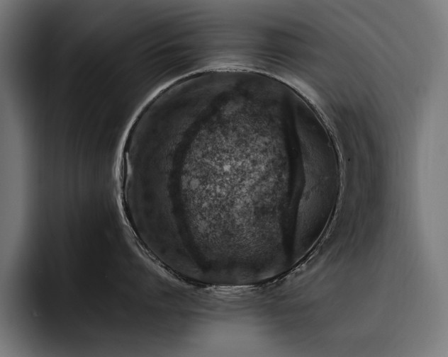 X0000093400864200710121057
