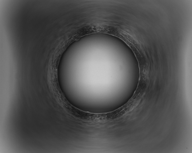 X0000093400865200710121057