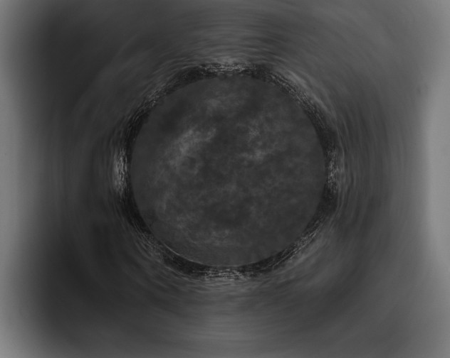 X0000093400866200710121057