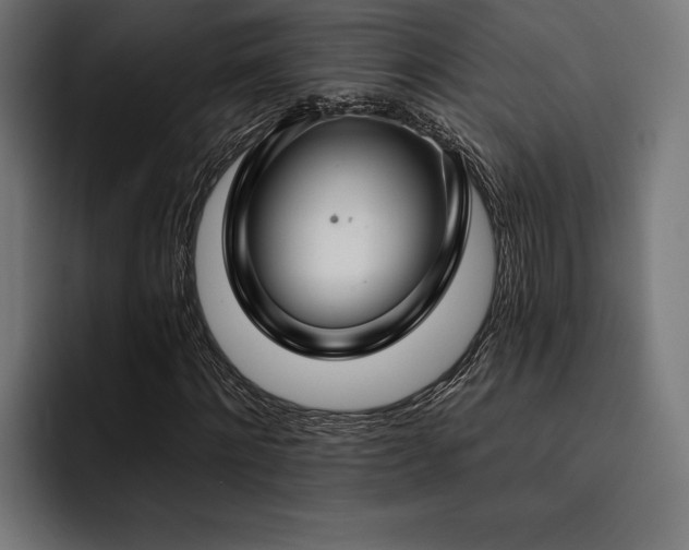 X0000093400868200710121057