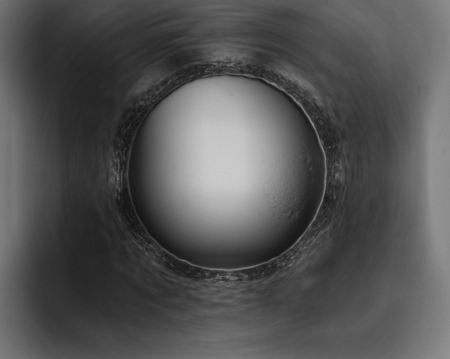 X0000093400869200710121057