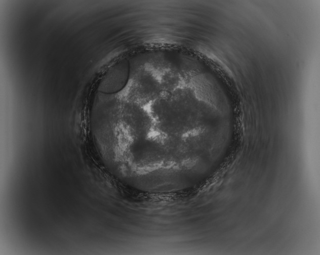 X0000093400870200710121057