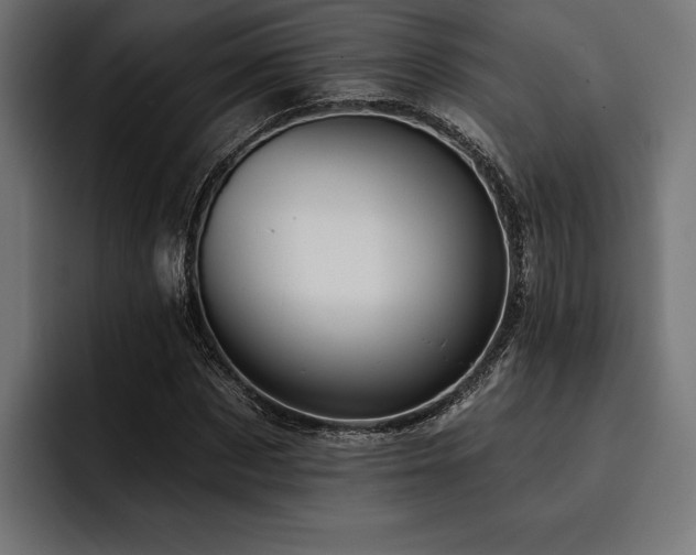 X0000093400873200710121057