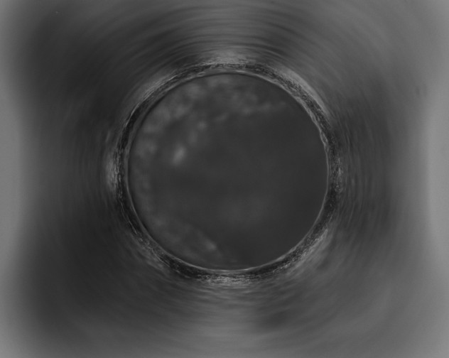 X0000093400874200710121057
