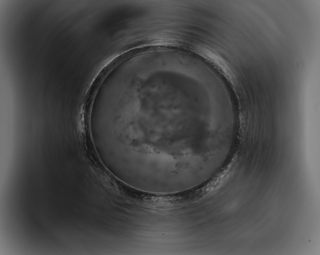 X0000093400875200710121057
