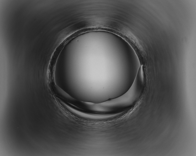 X0000093400876200710121057