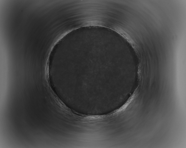 X0000093400877200710121057