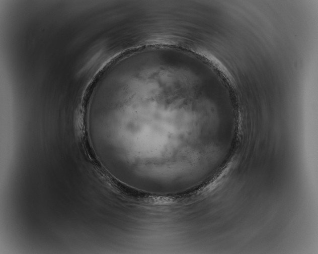 X0000093400878200710121057