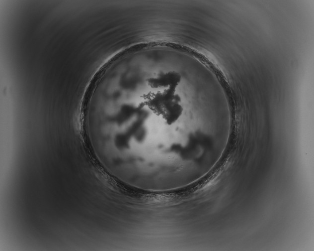 X0000093400879200710121057