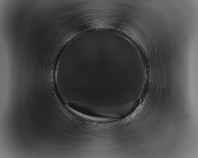 X0000093400881200710121057