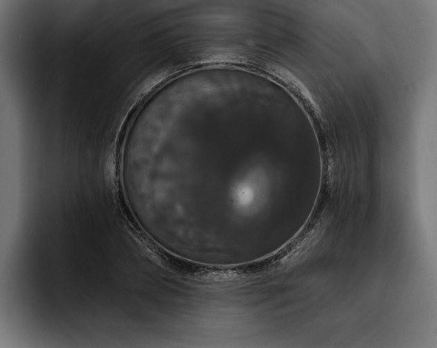 X0000093400882200710121057