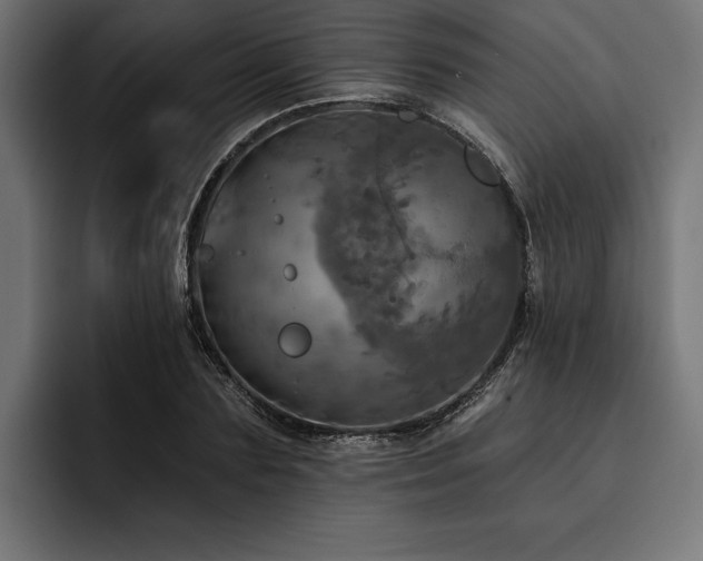 X0000093400883200710121057